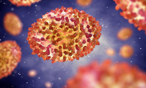 Santé : 6 cas suspects de variole de singe sont signalés