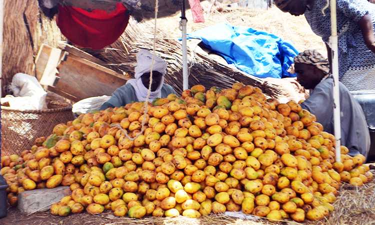 De la mangue en abondance au marché Taradona