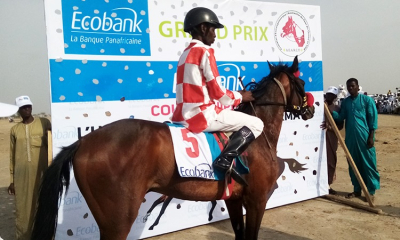 Course hippique : Grand Prix ECOBANK