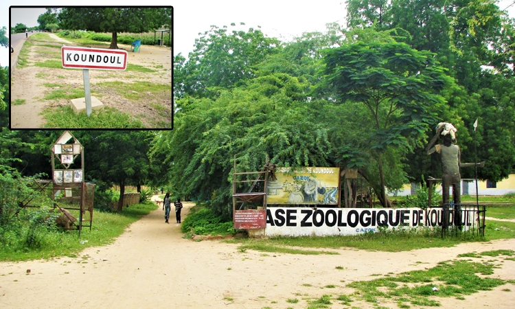 Zoo de Koundoul, un patrimoine à valoriser