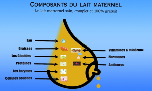 Nutrition : Les bienfaits de l’allaitement maternel