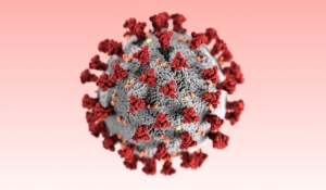 Coronavirus : N’Djaména en quarantaine