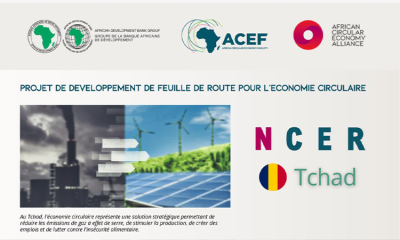 Économie circulaire : Selon la BAD, le Tchad est sur la bonne voie