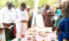 Foire d&#039;orientation professionnelle des filles mères