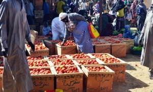 Conserver la tomate avec les moyens rudimentaires