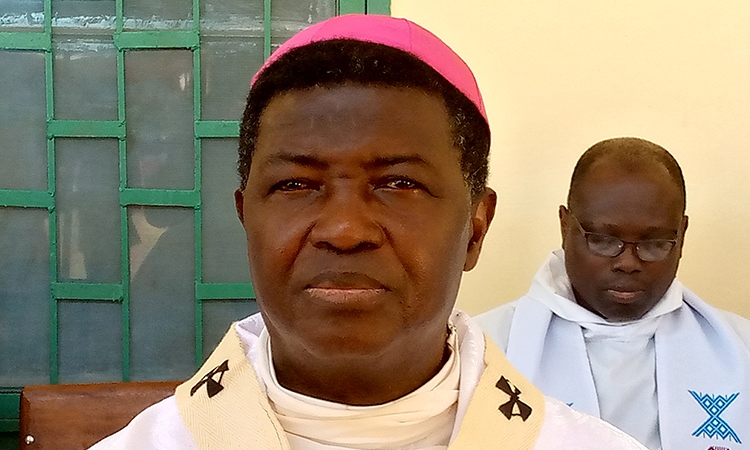 Bénédiction de l’homosexualité : Les évêques du Tchad disent non